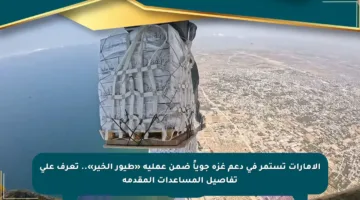 الإمارات تستمر في دعم غزة جوياً ضمن عملية «طيور الخير».. تعرف على تفاصيل المساعدات المقدمة
